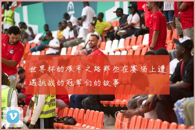 世界杯的艰辛之路那些在赛场上遭遇挑战的冠军们的故事