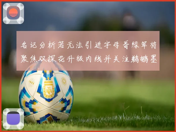 名记分析若无法引进字母哥绿军将聚焦双探花升级内线并关注鹈鹕墨菲